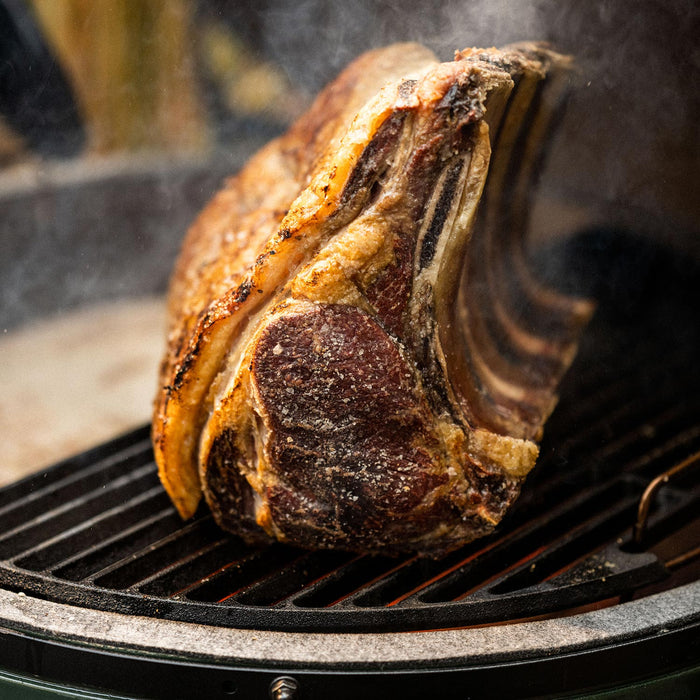 Cast Iron Half Grid (Large Big Green Egg) - Smoker Guru